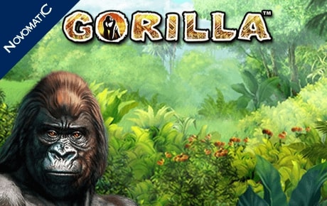 Игровой автомат Gorilla играть онлайн на официальном сайте казино Вулкан Россия