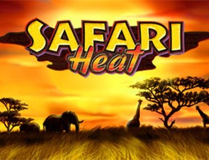 Игровой автомат Safari Heat играть онлайн на официальном сайте казино Вулкан Россия